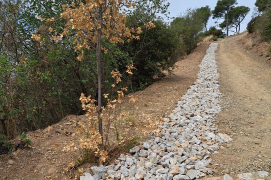 2014 AUL_1_3_8 camins forestals 2
