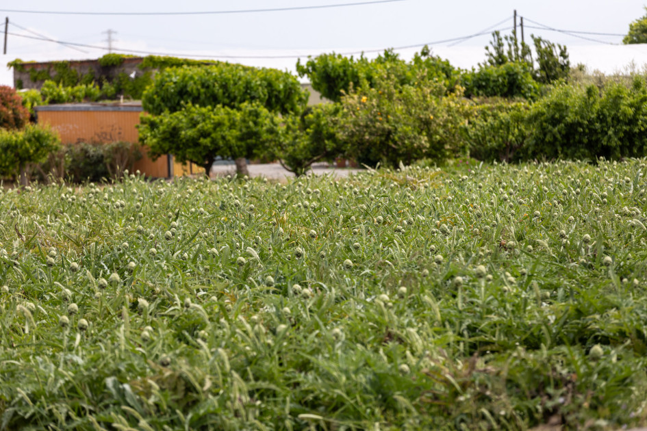 55_Parc agrari_014
